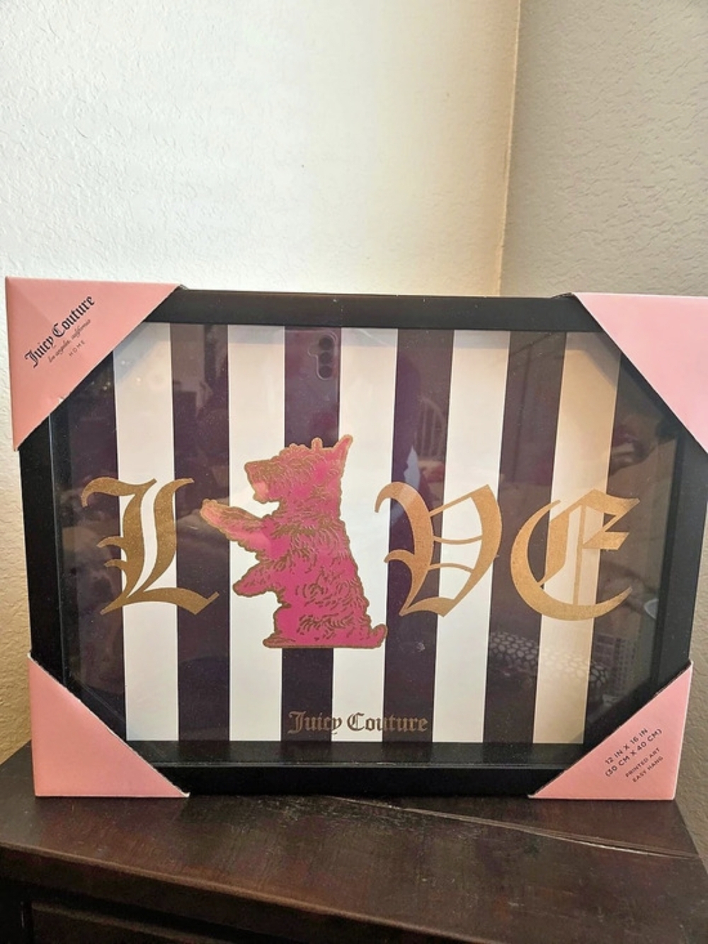 Juicy Couture Framed Print  NWT